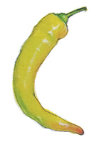 Banana peppers are crisp, pale yellow to orange-red, mild to slightly hot, and easy to grow. Like the Anaheim, they can be used as a sweet pepper.